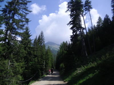 Seefeldspitze